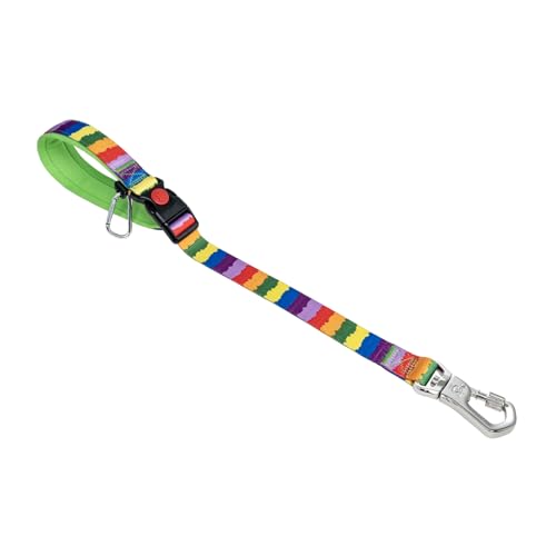 TSPRO Trainingsleine für Hunde, Kurzführer Hund für Große Hunde, mit Starkem Metallverschluss und Gepolstertem Griff, 51 cm Verstellbare Hundeleitband für Spaziergäng (Mehrfarbig) von TSPRO
