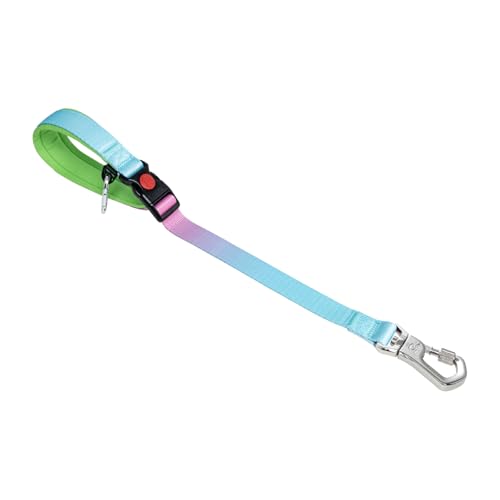 TSPRO Trainingsleine für Hunde, Kurzführer Hund für Große Hunde, mit Starkem Metallverschluss und Gepolstertem Griff, 51 cm Verstellbare Hundeleitband für Spaziergäng (Blau - Rosa - Farbenverlauf) von TSPRO