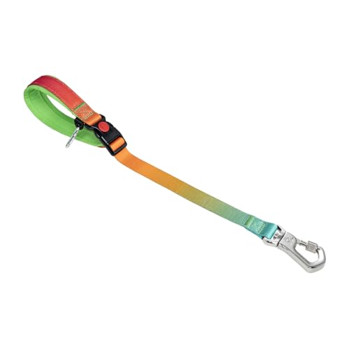 TSPRO Trainingsleine für Hunde, Kurzführer Hund für Große Hunde, mit Starkem Metallverschluss und Gepolstertem Griff, 51 cm Verstellbare Hundeleitband für Spaziergäng (Orange - Rot - Farbenverlauf) von TSPRO