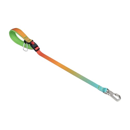 TSPRO Trainingsleine für Hunde, Kurzführer Hund für Große Hunde, mit Starkem Metallverschluss und Gepolstertem Griff, 66 cm Verstellbare Hundeleitband für Spaziergäng (Orange - Rot - Farbenverlauf) von TSPRO