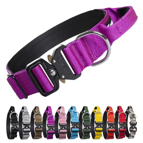 TSPRO Premium Hundehalsband mit Griff Dickes Verstellbares Hundehalsband Schwere Ausführung Schnellverschluss-Metallschnalle Hundehalsband für kleine oder mittelgroße bis extra große Hunde(Purple-L) von TSPRO