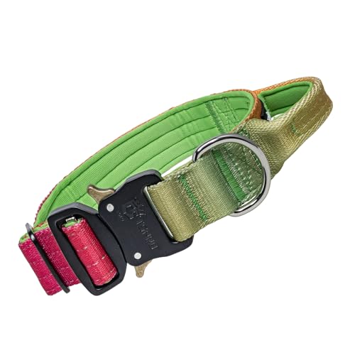 TSPRO Premium Hundehalsband mit Griff Dickes Verstellbares Taktisches Hundehalsband Schwere Ausführung Schnellverschluss Metallschnalle für Mittelgroße bis Große Hunde (Vitalitätsgradient M) von TSPRO