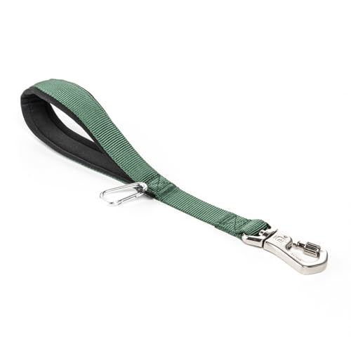 TSPRO Trainingsleine für Hunde, Kurzführer Hund für Große Hunde, mit Starkem Metallverschluss und Gepolstertem Griff, 36 cm Hundeleitband für Spaziergäng (Grün) von TSPRO