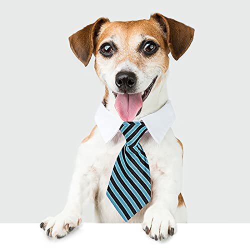 Haustier Hunde Katzen Fliege Haustier Kostüm Krawatte Einstellbare Haustier Krawatte Kostüm Formale Hundehalsband für Kleine Hunde und Katzen Hündchen Pflege Krawatten Party Zubehör (Blau) von TT-