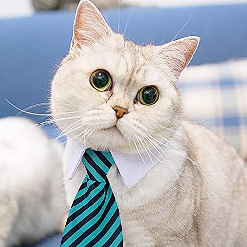 Haustier Hunde Katzen Fliege Haustier Kostüm Krawatte Einstellbare Haustier Krawatte Kostüm Formale Hundehalsband für Kleine Hunde und Katzen Hündchen Pflege Krawatten Party Zubehör (Himmelblau) von TT-