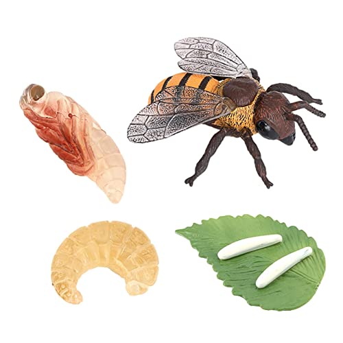 TTETTZ Realistische Tiere Lebenszyklus Modell Spielzeug Wachstumszyklus Kinder Spielzeug, Bee von TTETTZ