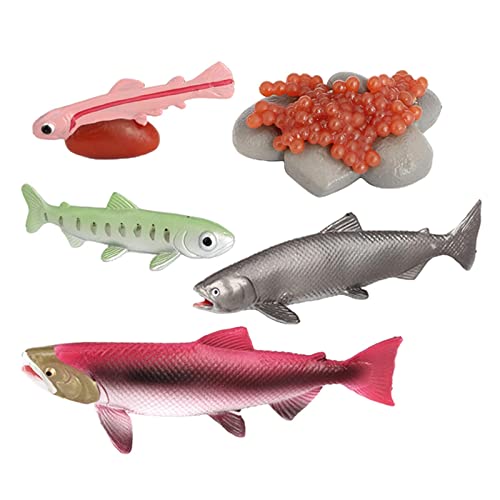 TTETTZ Realistische Tiere Lebenszyklus Modell Spielzeug Wachstumszyklus Kinder Spielzeug, Lachs von TTETTZ