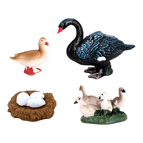 TTETTZ Realistische Tiere Lebenszyklus Modell Spielzeug Wachstumszyklus Kinder Spielzeug, Schwarz Schwan TTETTZ Realistische Tiere Lebenszyklus Modell Spielzeug Wachstumszyklus Kinder Spielzeug, Schwarz Schwan von TTETTZ