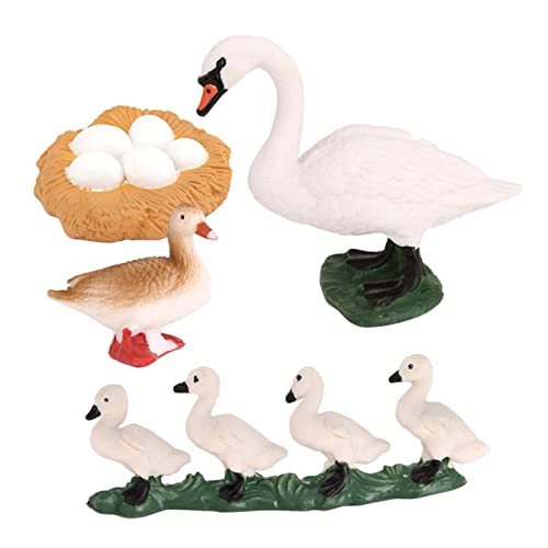 TTETTZ Realistische Tiere Lebenszyklus Modell Spielzeug Wachstumszyklus Kinder Spielzeug, Weiß Schwan TTETTZ Realistische Tiere Lebenszyklus Modell Spielzeug Wachstumszyklus Kinder Spielzeug, Weiß Schwan von TTETTZ