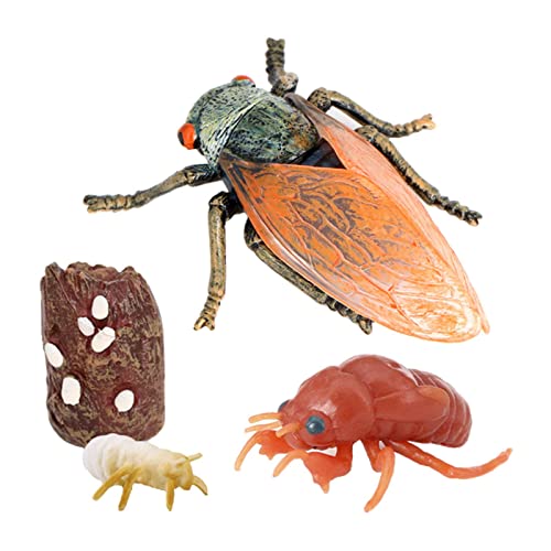 TTETTZ Realistische Tiere Lebenszyklus Modell Spielzeug Wachstumszyklus Kinder Spielzeug, Zikade TTETTZ Realistische Tiere Lebenszyklus Modell Spielzeug Wachstumszyklus Kinder Spielzeug, Zikade von TTETTZ