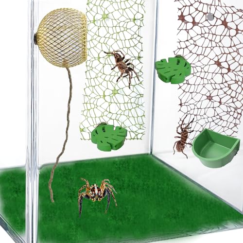 6-teiliges Springspinnenzubehör-Set – Springspinnenlebensraum mit Hanfseil, blattförmiges, magnetisches Springspinnengehäuse, 2 Stück Springspinnennetz zum Dekorieren von Springspinnengehege 6-teiliges Springspinnenzubehör-Set – Springspinnenlebensraum mit Hanfseil, blattförmiges, magnetisches Springspinnengehäuse, 2 Stück Springspinnennetz zum Dekorieren von Springspinnengehege von TTFdacai