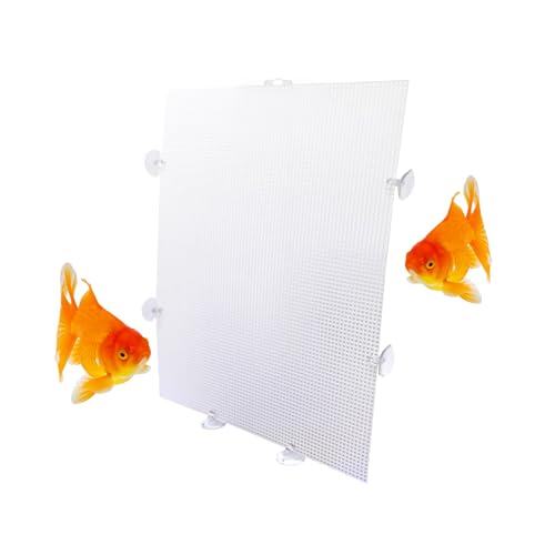 Aquarium-Trennwand für Aquarien, transparenter Kunststoff-Trenner mit Saugnäpfen, Kunststoff-Trennwand für Betta-Aquarium, Glasbehälter, 25,4 x 33 cm, 4 Stück Aquarium-Trennwand für Aquarien, transparenter Kunststoff-Trenner mit Saugnäpfen, Kunststoff-Trennwand für Betta-Aquarium, Glasbehälter, 25,4 x 33 cm, 4 Stück von TTFdacai