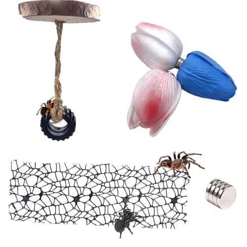 Springspinnen-Zubehör-Set, magnetisch, versteckt, springende Spinne, Lebensraum, Springspinne, Tulpe, Lebensraum, Springspinne, Versteck, Springspinne, Gehege, Zubehör, 5-teilig Springspinnen-Zubehör-Set, magnetisch, versteckt, springende Spinne, Lebensraum, Springspinne, Tulpe, Lebensraum, Springspinne, Versteck, Springspinne, Gehege, Zubehör, 5-teilig von TTFdacai