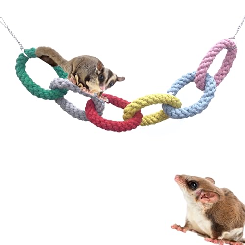 Zuckergleiter zum Aufhängen, 6 Ringe, Kletterspielzeug, Zuckergleiter, Schaukelspielzeug, Zuckergleiter, Kletterseil, Käfigzubehör für Zuckergleiter, Frettchen, Hamster, Eichhörnchen, Chinchilla, Zuckergleiter zum Aufhängen, 6 Ringe, Kletterspielzeug, Zuckergleiter, Schaukelspielzeug, Zuckergleiter, Kletterseil, Käfigzubehör für Zuckergleiter, Frettchen, Hamster, Eichhörnchen, Chinchilla, von TTFdacai