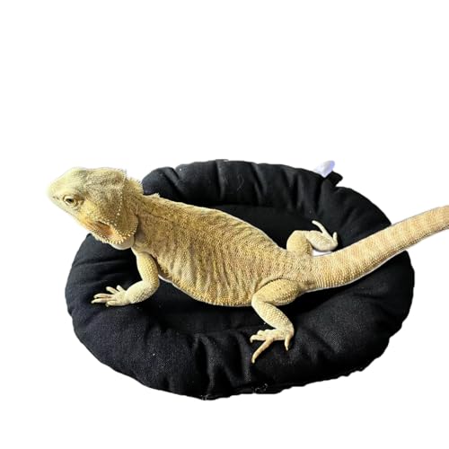 Bartagame, Reisetasche, Eidechse, Auto, weiche Matte, Hängematte mit Saugnapf, waschbar, Reptilien-Tank, Zubehör für kleine Tiere, Hamster, Chinchilla, Ratte, Vogel, Bartdrache, Eidechse, Kätzchen Bartagame, Reisetasche, Eidechse, Auto, weiche Matte, Hängematte mit Saugnapf, waschbar, Reptilien-Tank, Zubehör für kleine Tiere, Hamster, Chinchilla, Ratte, Vogel, Bartdrache, Eidechse, Kätzchen von TTMIMIK