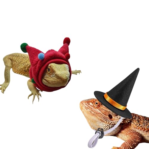 Bartagamen-Hüte, Baumwolle, Halloween, Eidechse, Reptilienkostüm, coole Haustierkappe, Reptilienbekleidung, Zubehör für kleine Tiere (Rot + Hexenhut) von TTMIMIK