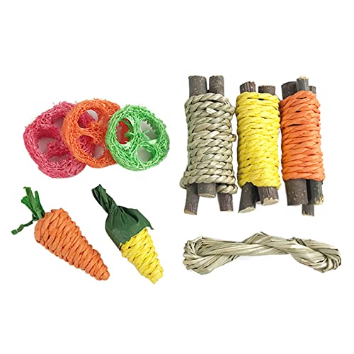 TTTLLNN 9 Stück Kleintier-Aktivitätszubehör Molar Apfelholz Stick Kauen zum Zahnen für P TTTLLNN 9 Stück Kleintier-Aktivitätszubehör Molar Apfelholz Stick Kauen zum Zahnen für P von TTTLLNN
