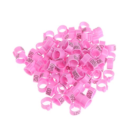 TTTLLNN Hühnerbeinringe, 10 mm, 100 Stück, 6 Farben, Beinbänder, kleines Geflügel, Clip-On-Fußringe für Enten, Tauben von TTTLLNN