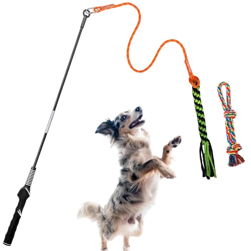 TUAHOO Flirtstange für Hunde, interaktives Spielzeug für Hunde, Jagd und Tauziehen, Hunde-Teaser Zauberstab mit Halteseil, Köderspielzeug für Outdoor-Übung und Training für kleine, mittelgroße und von TUAHOO