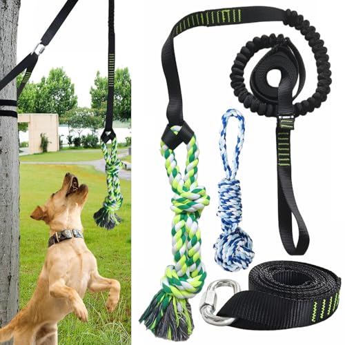 TUAHOO Hund Outdoor Bungee Solo Spielzeug Hängend am Baum, Outdoor Tether Tug of War Spielzeug für Pitbull Kleine bis Große Hunde, Tree Tugger Pull Rope Interaktives Zerrspielzeug mit 2 von TUAHOO
