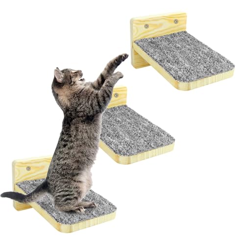 TUAKIMCE 3er Set Kletterwand Katzen Katzentreppen Katzentreppe Wand Katzenwand Klettern Naturholz Katzenleiter Katzenwandparkour für Katzen Katzen Kletterwand Set TUAKIMCE 3er Set Kletterwand Katzen Katzentreppen Katzentreppe Wand Katzenwand Klettern Naturholz Katzenleiter Katzenwandparkour für Katzen Katzen Kletterwand Set von TUAKIMCE