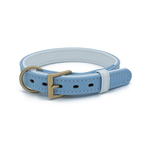 TUBERK Handgefertigtes Premium-Hundehalsband, Leder, massives Messing, Größe M: 2,5 cm breit für Halsumfang von 35,6 - 43,2 cm, Hellblau von TUBERK