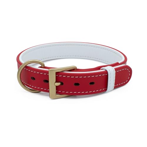 TUBERK Handgefertigtes Premium-Leder-Hundehalsband, massive Messingbeschläge (L x B x H): 3 cm x 48 cm, Rot von TUBERK