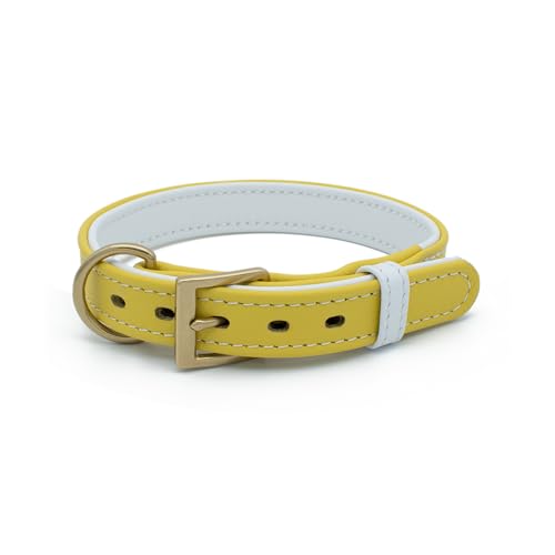TUBERK Handgefertigtes Premium-Leder-Hundehalsband, massive Messingbeschläge (M: 2,5 cm breit, für Halsumfang von 35,6 - 43,2 cm, Gelb) von TUBERK