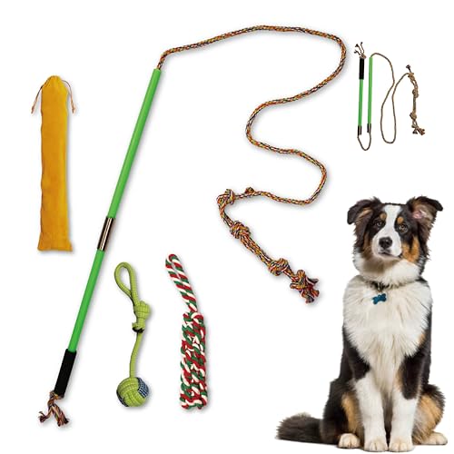 TUFEZIAN Flirtstange für Hunde mit 2 Ballspielzeugen, interaktives Spielzeug für kleine, mittelgroße und große Hunde, langlebiges Hundespielzeug für Training und Tauziehen TUFEZIAN Flirtstange für Hunde mit 2 Ballspielzeugen, interaktives Spielzeug für kleine, mittelgroße und große Hunde, langlebiges Hundespielzeug für Training und Tauziehen von TUFEZIAN