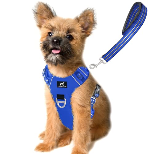 TUFFDOG Easy-Fit Hundegeschirr, für kleine Hunde, schnell zu öffnender Nackenclip, hochwertig gepolstert, reflektierend, kein Ziehen, mit Kontrollgriff, verstellbare Hundeweste mit passender Leine (S, von TUFFDOG