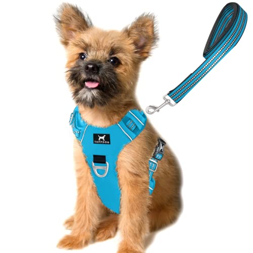 TUFFDOG Easy-Fit Hundegeschirr für kleine Hunde – Schnellverschluss am Halsclip, Premium gepolstert, reflektierend, kein Ziehen Geschirr mit Kontrollgriff, verstellbare Step-in-Hundeweste plus kostenlose passende Leine (S, Himmelblau) von TUFFDOG