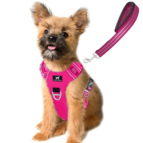 TUFFDOG Easy-Fit Hundegeschirr für kleine Hunde – Schnellverschluss am Halsclip, Premium gepolstert, reflektierend, kein Ziehen Geschirr mit Kontrollgriff, verstellbare Step-in-Hundeweste plus kostenlose passende Leine (S, Hot Pink) von TUFFDOG