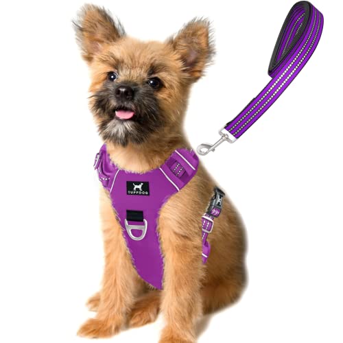 TUFFDOG Easy-Fit Hundegeschirr für kleine Hunde – Schnellverschluss am Halsclip, Premium gepolstert, reflektierend, kein Ziehen Geschirr mit Kontrollgriff, verstellbare Step-in-Hundeweste plus kostenlose passende Leine (S, Vivid Violett) von TUFFDOG