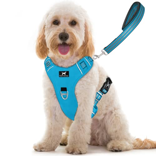 TUFFDOG Easy-Fit Hundegeschirr für mittelgroße Hunde – Schnellverschluss am Halsclip, Premium gepolstert, reflektierend, kein Ziehen Geschirr mit Kontrollgriff, verstellbare Step-in-Hundeweste plus kostenlose passende Leine (M, Himmelblau) von TUFFDOG