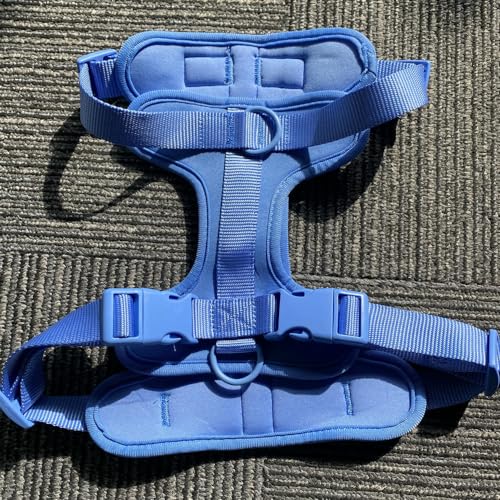 Hundegeschirr und Leine-Set, kein Ziehen, Hundeweste, Geschirr, PVC, wasserdichtes Hundeleinenhalsband für kleine, mittelgroße und große Hunde Hundegeschirr und Leine-Set, kein Ziehen, Hundeweste, Geschirr, PVC, wasserdichtes Hundeleinenhalsband für kleine, mittelgroße und große Hunde von TUITA