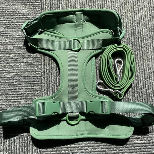 TUITA Hundegeschirr und Leine-Set, wasserdicht, leicht zu reinigen, Hundeleine, verstellbares Hundewestengeschirr mit Hundekotbeutelhalter für kleine und große Hunde TUITA Hundegeschirr und Leine-Set, wasserdicht, leicht zu reinigen, Hundeleine, verstellbares Hundewestengeschirr mit Hundekotbeutelhalter für kleine und große Hunde von TUITA