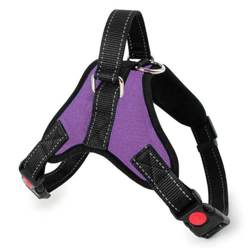TUITA OUZEY Verstellbares Hundegeschirr-Leine-Set, atmungsaktiv, bequem, für kleine, große und mittelgroße Hundegeschirre, Weste, Outdoor-Walking-Haustierleine TUITA OUZEY Verstellbares Hundegeschirr-Leine-Set, atmungsaktiv, bequem, für kleine, große und mittelgroße Hundegeschirre, Weste, Outdoor-Walking-Haustierleine von TUITA
