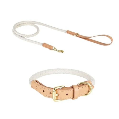 TUITA Hundehalsband-Leinen-Set, geflochtene Lederseilhalsbänder, Metalldornschließe, langlebiges Hundehalsband TUITA Hundehalsband-Leinen-Set, geflochtene Lederseilhalsbänder, Metalldornschließe, langlebiges Hundehalsband von TUITA