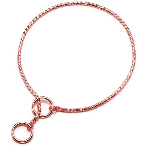 TUITA Hundehalsband mit Metallkette, Hundehalsband für Shows, feines Messingkettenhalsband, verstellbar für kleine, mittelgroße und große Hunde TUITA Hundehalsband mit Metallkette, Hundehalsband für Shows, feines Messingkettenhalsband, verstellbar für kleine, mittelgroße und große Hunde von TUITA