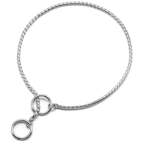TUITA Hundehalsband mit Metallkette, Hundehalsband für Shows, feines Messingkettenhalsband, verstellbar für kleine, mittelgroße und große Hunde TUITA Hundehalsband mit Metallkette, Hundehalsband für Shows, feines Messingkettenhalsband, verstellbar für kleine, mittelgroße und große Hunde von TUITA