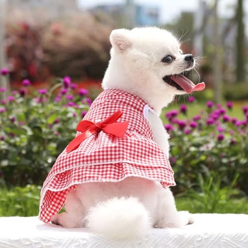TUITA Hundekleider, Mädchen-Welpenkleid, Sommer-Haustier-Kleidung, Outfit, Bekleidung, süßer Katzenrock, weibliche Tutu-Kleidung für französische Bulldogge, Chihuahua von TUITA
