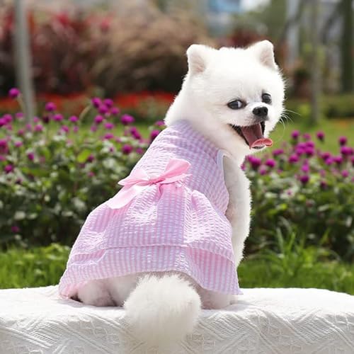 TUITA Hundekleider, Mädchen-Welpenkleid, Sommer-Haustier-Kleidung, Outfit, Bekleidung, süßer Katzenrock, weibliche Tutu-Kleidung für französische Bulldogge, Chihuahua von TUITA