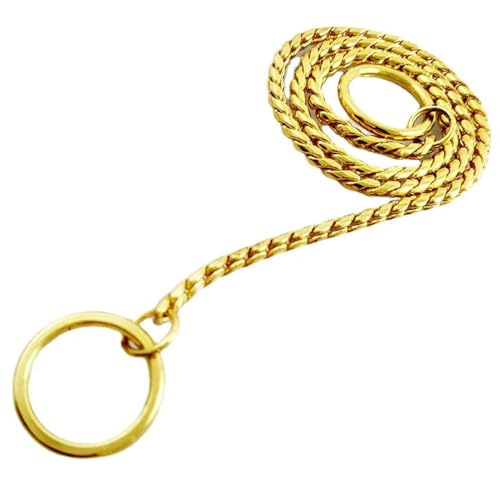 TUITA Metall-Hundekettenhalsband, Haustierhalsband, verstellbare Dekoration, Haustierhalsband für kleine, mittelgroße und große Hunde TUITA Metall-Hundekettenhalsband, Haustierhalsband, verstellbare Dekoration, Haustierhalsband für kleine, mittelgroße und große Hunde von TUITA