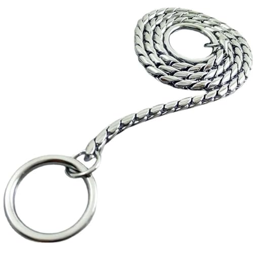 TUITA Metall-Hundekettenhalsband, Haustierhalsband, verstellbare Dekoration, Haustierhalsband für kleine, mittelgroße und große Hunde TUITA Metall-Hundekettenhalsband, Haustierhalsband, verstellbare Dekoration, Haustierhalsband für kleine, mittelgroße und große Hunde von TUITA