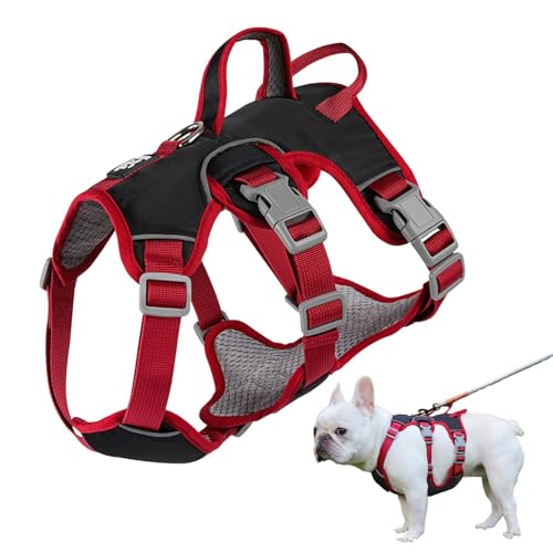 Leichtes Hundegeschirr, bequemes Haustier-Trainingsgeschirr, Haustier-Trainingsgeschirr mit Anti-Breakaway-Design, Hundetrainingsgeschirr mit verstellbaren Trägern, Welpentrainingsgeschirr für Hunde Leichtes Hundegeschirr, bequemes Haustier-Trainingsgeschirr, Haustier-Trainingsgeschirr mit Anti-Breakaway-Design, Hundetrainingsgeschirr mit verstellbaren Trägern, Welpentrainingsgeschirr für Hunde von TUJOBA