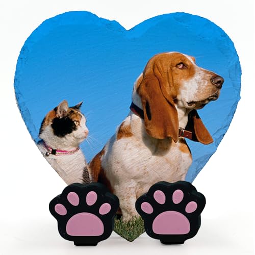 TULLUN Personalisierte Gedenk Herzform Foto Namenstafel für Haustier Katze Hund Schiefer Naturstein Rahmen Pfote Grab Marker mit Pfote Display Ständer - Full Print - V1 Größe | 10 x 10 cm | TULLUN Personalisierte Gedenk Herzform Foto Namenstafel für Haustier Katze Hund Schiefer Naturstein Rahmen Pfote Grab Marker mit Pfote Display Ständer - Full Print - V1 Größe | 10 x 10 cm | von TULLUN