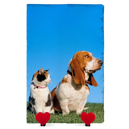 TULLUN Personalisierte Memorial Herzform Foto Namenstafel für Haustier Katze Hund Schiefer Naturstein Rahmen Pfote Grab Marker mit Herz Display Ständer - Voller Druck - Vertikal | 20 x 30 cm | von TULLUN