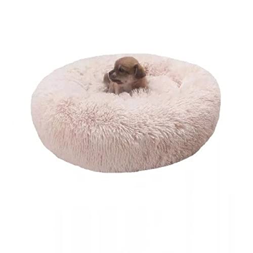 Hunde Bett Katzenbett Hundebett Flauschig Abnehmbare Und Waschbare Four Seasons Pet Kennel Cat Mat Warm Cat Halbgeschlossene Haustiermatte Mit Reißverschluss, Off-white, Durchmesser 50, Höhe 20 von TUPMITUPO