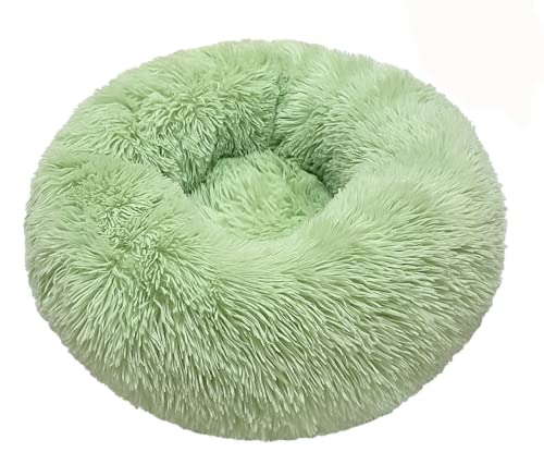 Hunde Bett Katzenbett Hundebett Flauschig Herbst Und Winter, Verdickter Plüsch, Rund, Haustier-nestmatte, Tiefschlaf, Katzennest, Hundenest, Kleine Und Mittlere Hunde, Fruchtgrün, 40 Cm, 420 G Hunde Bett Katzenbett Hundebett Flauschig Herbst Und Winter, Verdickter Plüsch, Rund, Haustier-nestmatte, Tiefschlaf, Katzennest, Hundenest, Kleine Und Mittlere Hunde, Fruchtgrün, 40 Cm, 420 G von TUPMITUPO
