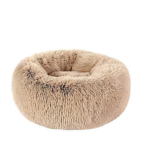 Hunde Bett Katzenbett Hundebett Flauschig Katzenhütte Winterwarmes Hundebett Haustierbett Kleine Und Mittelgroße Hundeunterlage Katzenbett Tiefschlaf Haustiernestmatte Farbverlauf Mokka 50cm Hunde Bett Katzenbett Hundebett Flauschig Katzenhütte Winterwarmes Hundebett Haustierbett Kleine Und Mittelgroße Hundeunterlage Katzenbett Tiefschlaf Haustiernestmatte Farbverlauf Mokka 50cm von TUPMITUPO